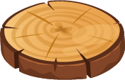 Wood slice
